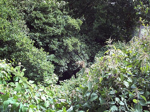 ウィレンホール アームは、シェップウェル グリーン近くの住宅街の中にあり、水源に近い。川は、写真の中央に映っている小さな部分で明らかになっている。草木が生い茂った川岸の間の小さな小川で、町の境界を形成しているにもかかわらず、ほとんど近づくことができない。