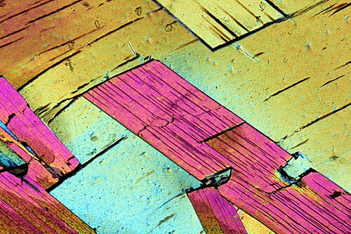 交差偏光下で 2 倍の倍率で観察した、薄片の片麻岩中の板状の白雲母結晶。
