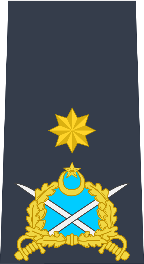 （パキスタン空軍）