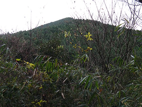 岩橋山