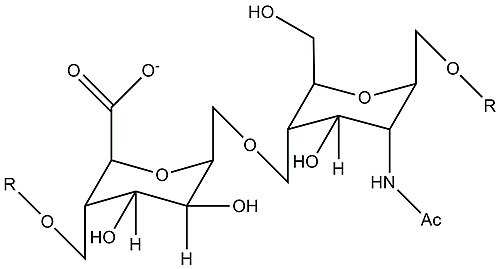 β-グルクロニダーゼのヘパラン硫酸基質の繰り返し単位