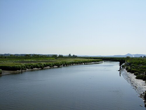 田園地帯の真ん中にある静かな川の日中の写真