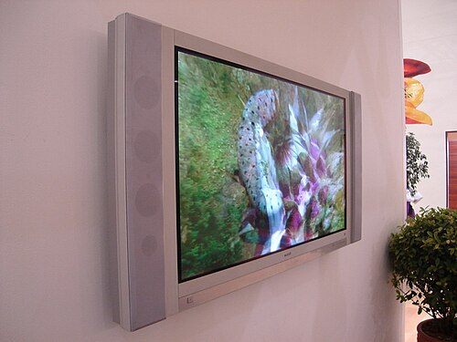 アルチェリクはトルコのテレビメーカーで、2006年のロイヤル・フローラ・エキスポで発見された。