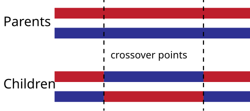 TwoPointCrossover.svg