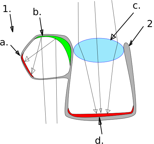 スプーキー.svg
