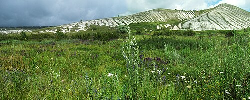 ノヴォスコルスキー地区ベロゴリエ自然保護区の白亜の斜面