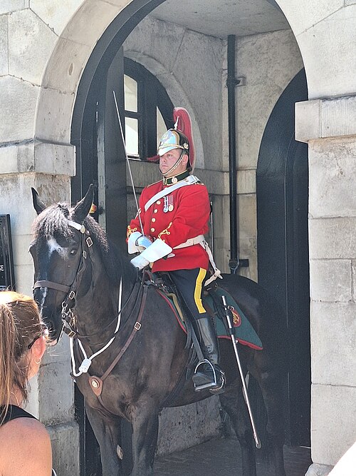 Lord Strathcona's Horse mounted sentry outside Horse Guards