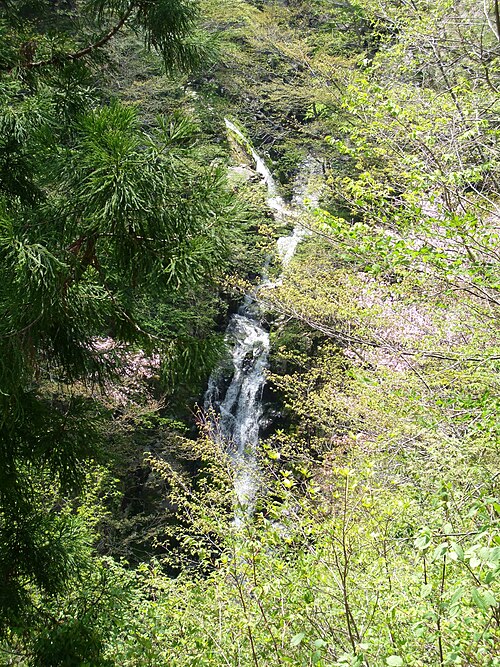 兵野山の不動の滝