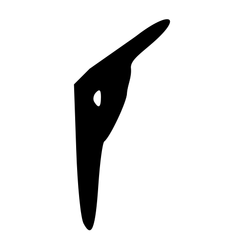 甲骨文字