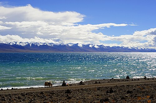 チベットのナムツォ湖。岩だらけの海岸線、深い青色の湖水、そして明るい空の下に遠くに見える雪をかぶった山々が写っている。
