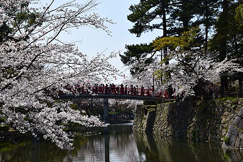 岡崎花まつり