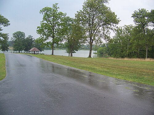 公園の風景