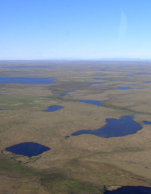 アナディリ低地を空から見た景色。