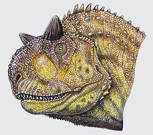 カルノタウルスの頭部の絵