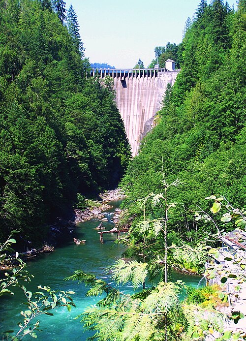 アーチダムは、流れ落ちる川の上にある狭い森林の峡谷にまたがっている。
