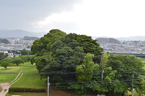正面図（東東）