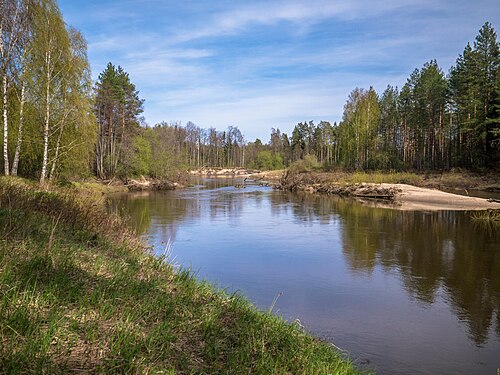 メドヴェージェフスキー地区にあるロシアの保護区、ウスチエ・クンディシスキー・ザカズニクにて