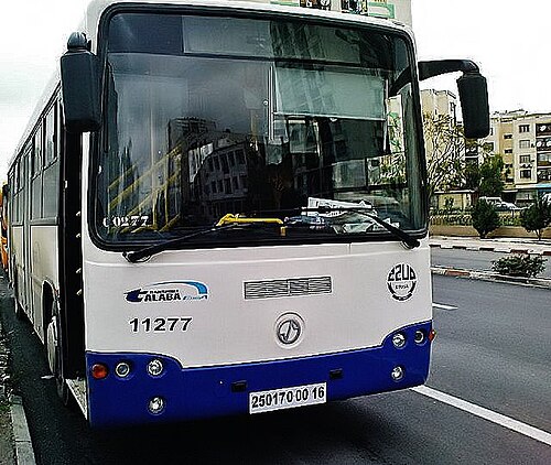 100L6 タラババス