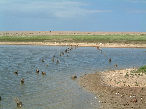ソルトハウス湿地にある第二次世界大戦の対戦車防御施設の遺跡