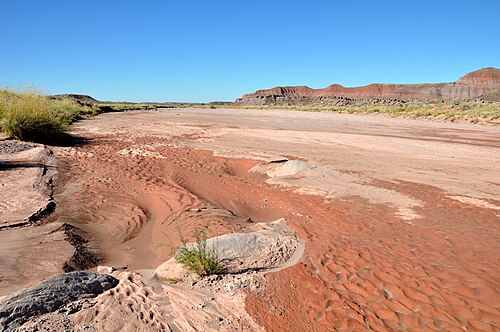 砂地の川床。場所によっては、湿気で砂が黒ずんでいる。