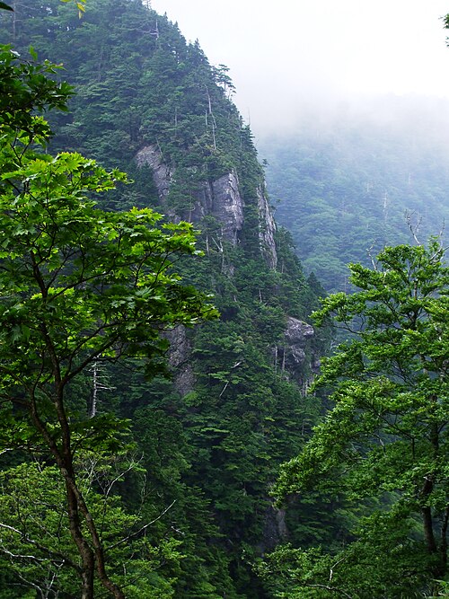 山上山の石垣