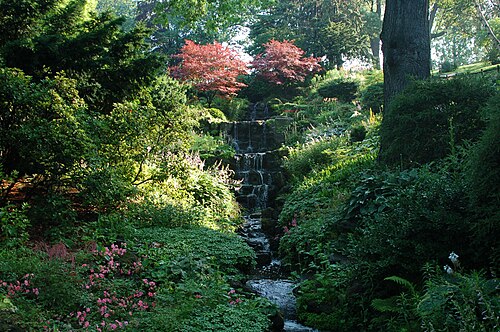 丘の斜面を流れ落ちる水が、両側に花やその他の植物が生い茂る一連の滝を形成している。