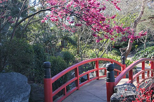 鳥居橋