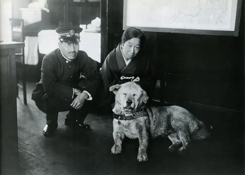 駅にいる犬