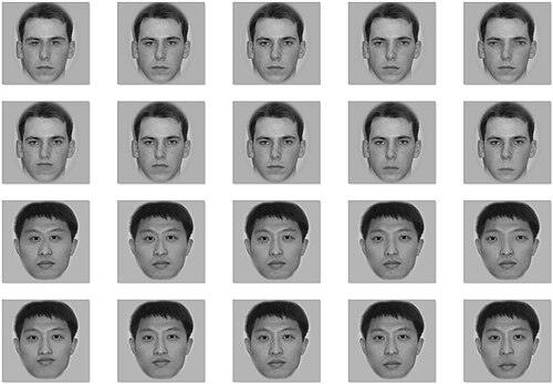20 個の顔があるグリッドで、中央の列は編集されていない元の顔 (列の最初の 2 つの顔は白人、最後の 2 つの顔はアジア人) を示しています。左端の顔は目と鼻の間または口と鼻の間の距離が元の顔 (中央の顔) より 10 ピクセル小さく、左から 2 番目の顔は目と鼻の間または口と鼻の間の距離が元の顔より 5 ピクセル小さく、右端の顔は目と鼻の間または口と鼻の間の距離が元の顔より 10 ピクセル大きく、右から 2 番目の顔は目と鼻の間または口と鼻の間の距離が元の顔より 5 ピクセル大きくなっています。