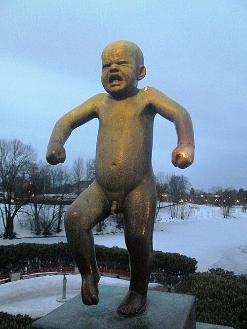 怒った少年
