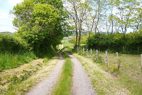 Chemin de la Vernée (村の北にある田舎の小道)