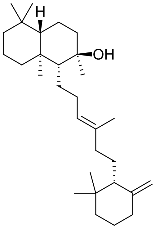 アンブレイン