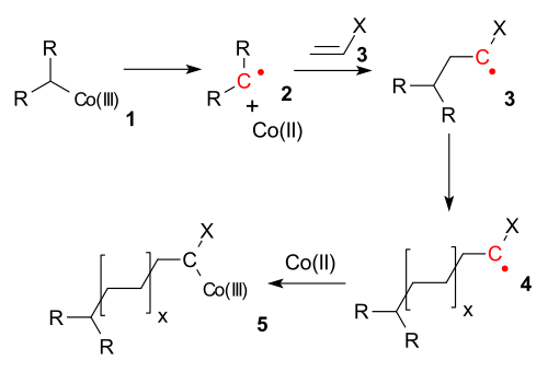 コバルト媒介ラジカル重合
