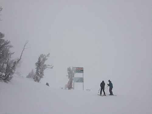 マウント・ローズの新雪。