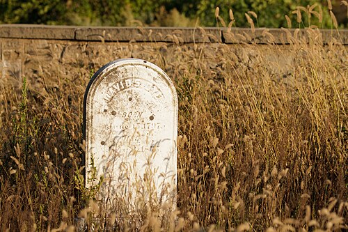 デイビッド・S・ダイの墓石、1875年没