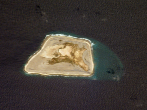 衛星写真