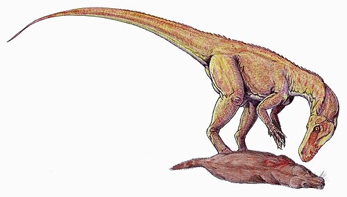 二足歩行の恐竜が、小さな死んだ哺乳類のような爬虫類を食べようと身をかがめている。