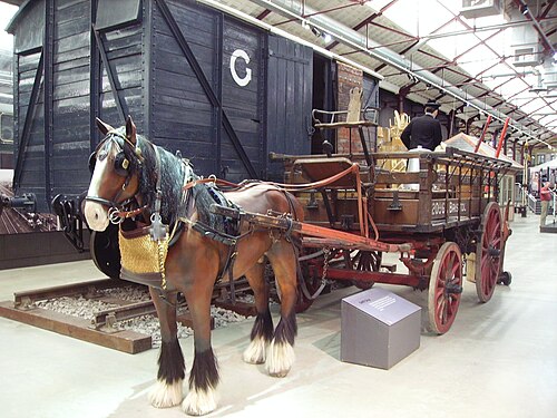 ドレイ（アメリカの博物館、2006年）