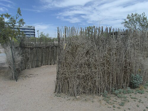 メスキート材で作られたこれらの台所は、1600年代にホホカム族の子孫と考えられているオオダム族によって使用されていた。