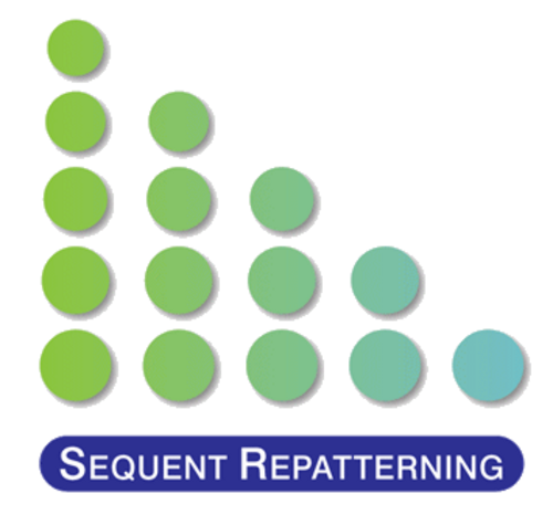Sequent Repatterning ロゴの画像