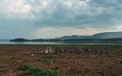 バシキール国立公園、ロシア、ウラル山脈の南端