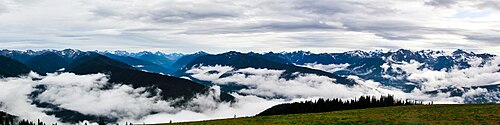 ハリケーンリッジの霧