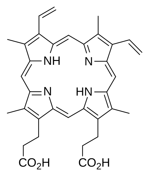 プロトポルフィリンIXの化学構造の2次元表示。