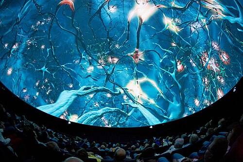 ノールショッピングキャンパスのビジュアライザーセンターCにあるドームシアターは、2019年時点で世界最高の3D画像品質を誇るドームシアターです。