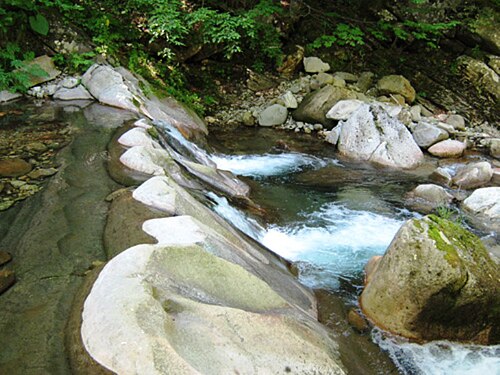 ヴィディマ川上流