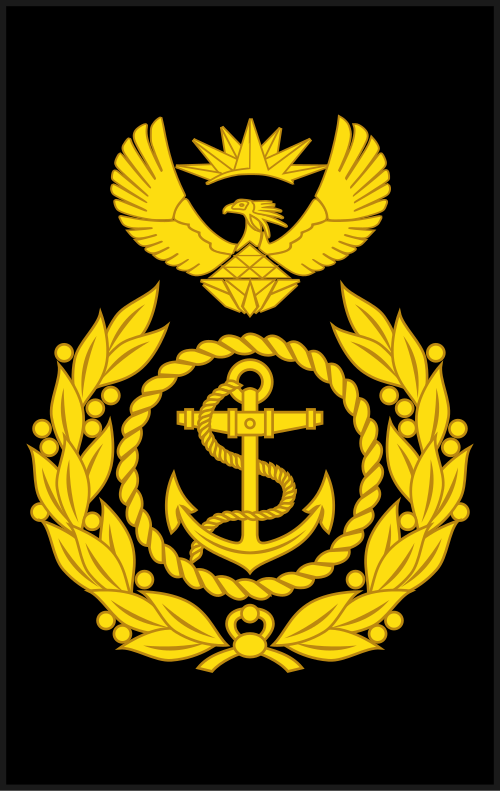 南アフリカ海軍