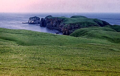 風景、1980年。