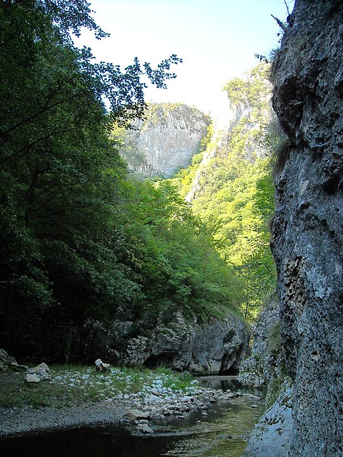 メタリフェリ山脈のマダ渓谷 (Cheile Măzii または Madei)
