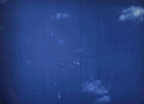 1946 年 7 月 1 日の空中核爆発。3.5 マイル (5.6 km) 離れたビキニ島の塔から撮影された写真。