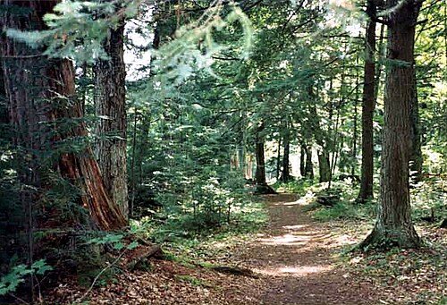 イーグルリバーから東へ約16km（10マイル）の森の中にあるヒドゥンレイクストレイル